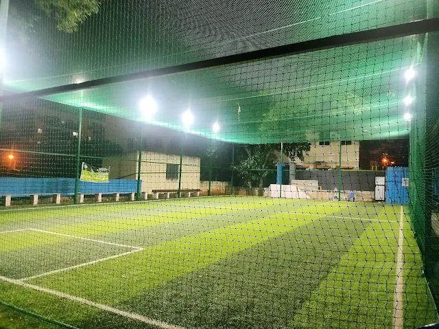 Turf photo 3