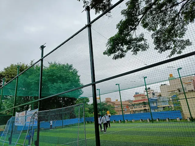 Turf photo 2