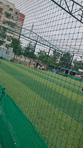Turf photo 6