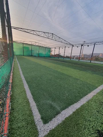Turf photo 3