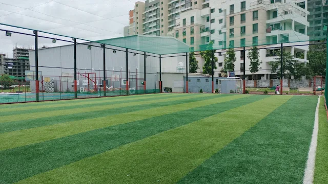 Turf photo 2