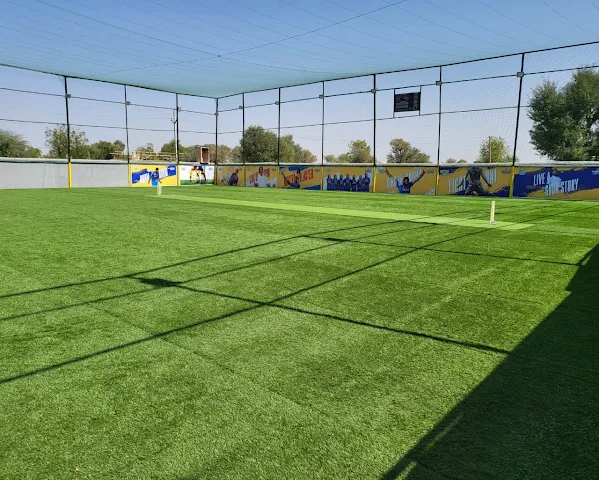 Turf photo 3