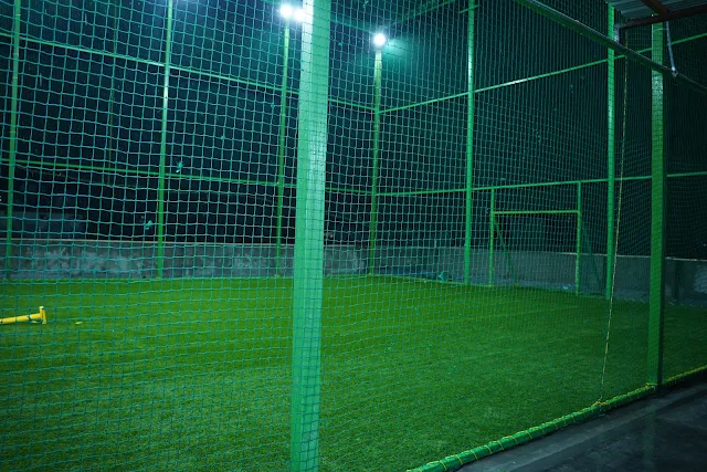 Turf photo 6