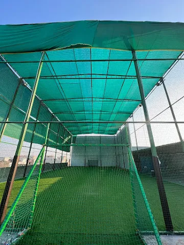 Turf photo 7