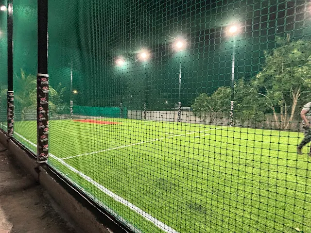 Turf photo 2