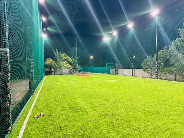 Turf photo 3