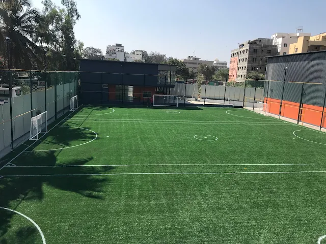 Turf main photo