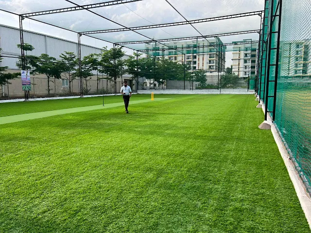 Turf photo 6