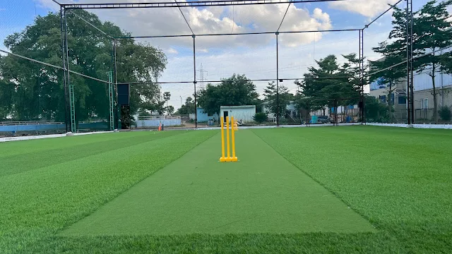 Turf main photo