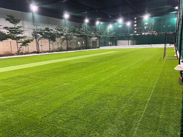 Turf photo 5