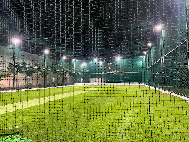 Turf photo 7