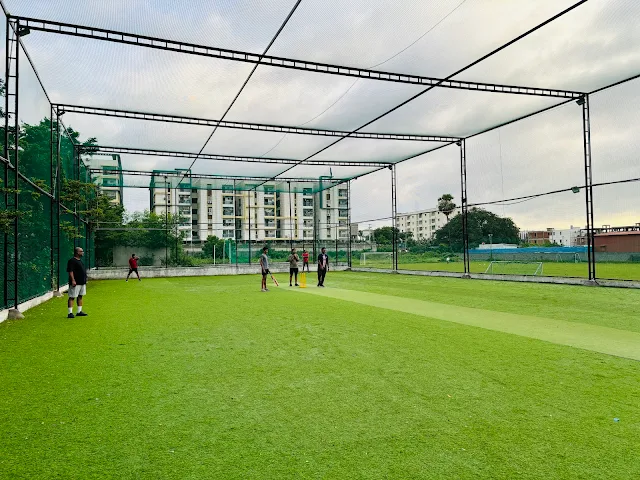 Turf photo 3
