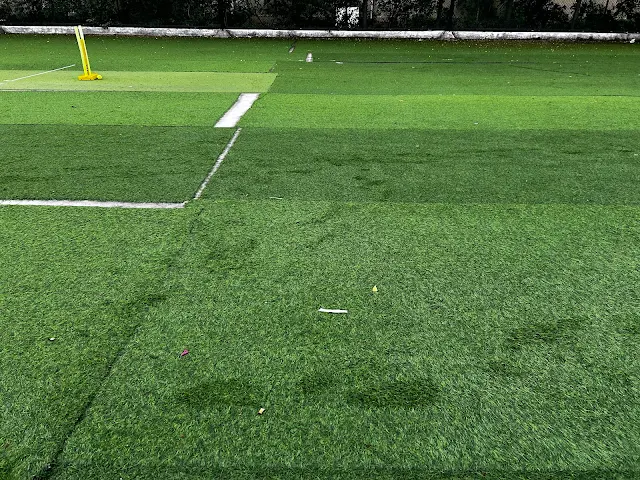 Turf photo 8