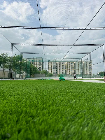 Turf photo 4