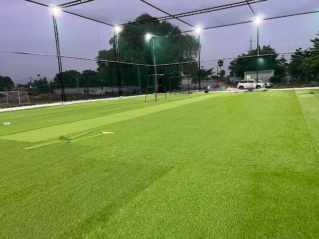 Turf photo 2