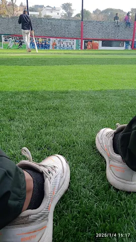 Turf photo 4