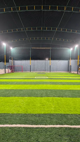 Turf photo 2