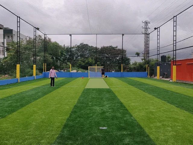 Turf photo 3