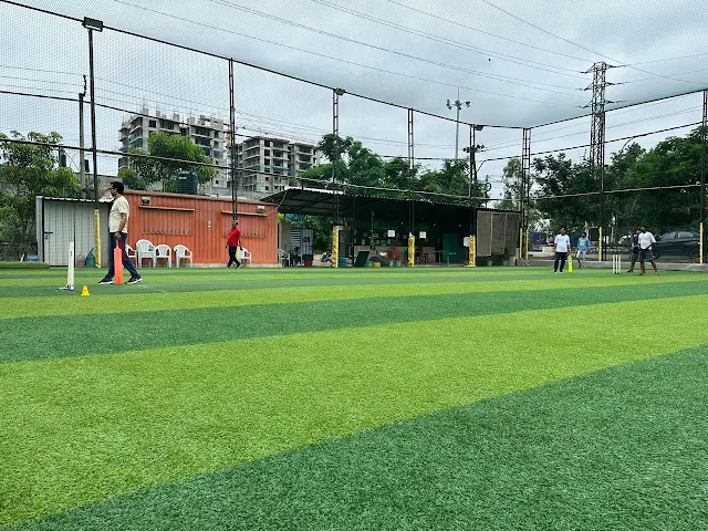 Turf photo 2
