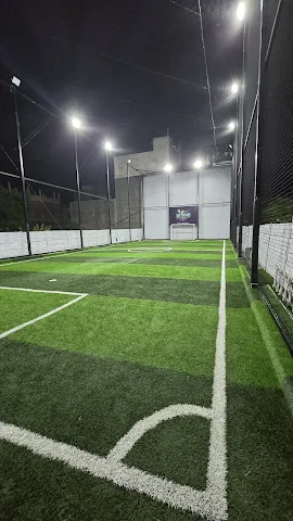 Turf photo 4
