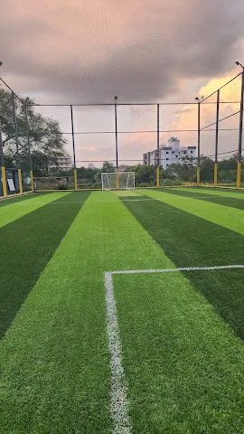 Turf photo 6