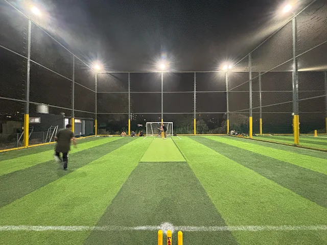 Turf photo 2