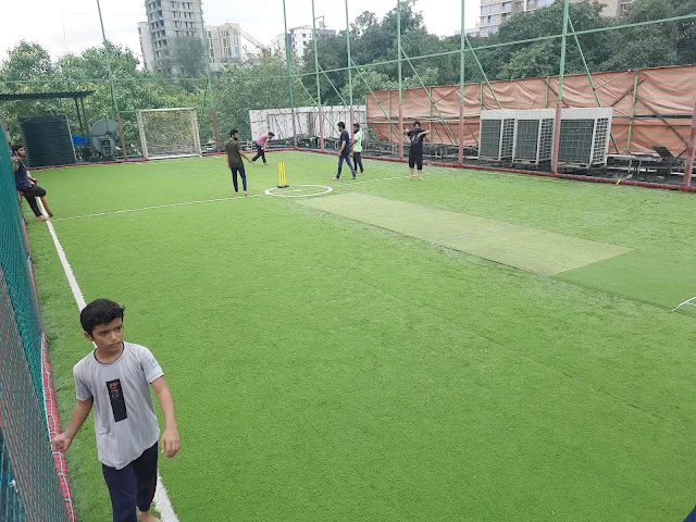 Turf photo 3