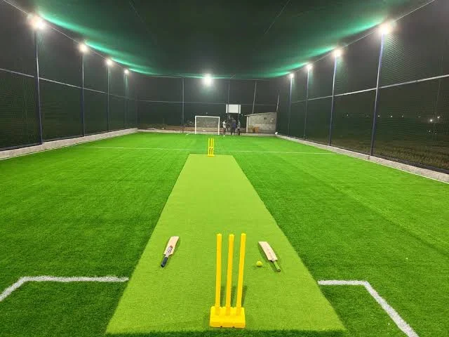 Turf main photo