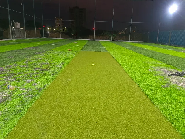 Turf photo 2