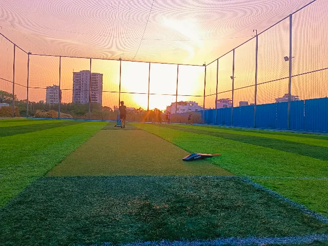 Turf photo 3