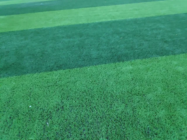 Turf photo 3