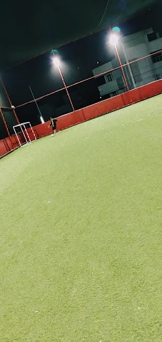 Turf photo 4