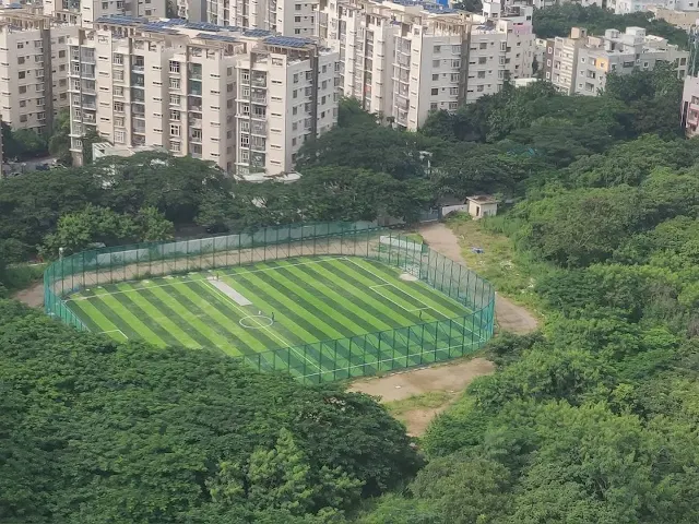 Turf main photo