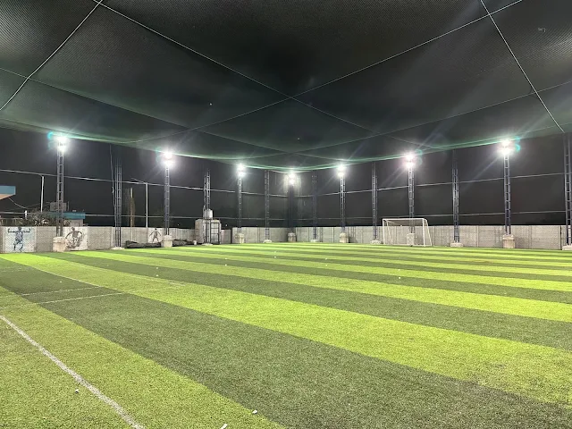 Turf photo 2
