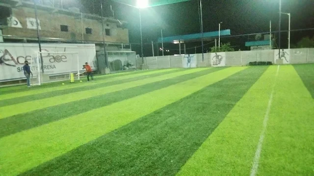 Turf photo 8