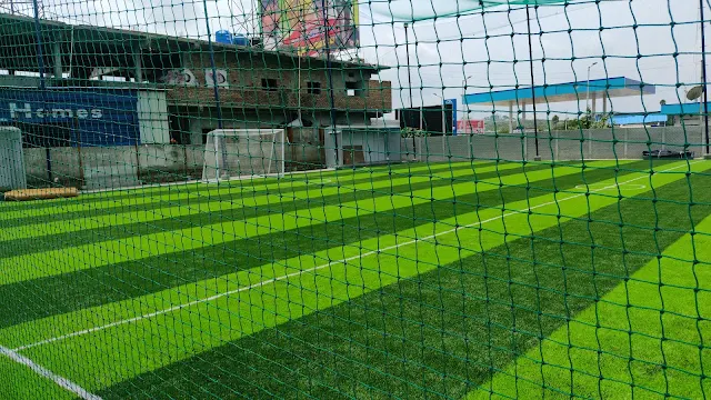 Turf photo 6