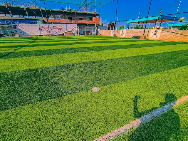 Turf photo 5