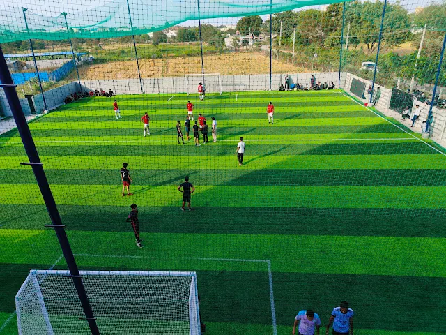 Turf photo 3