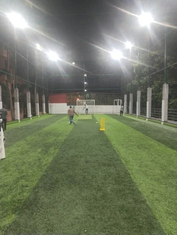 Turf photo 4