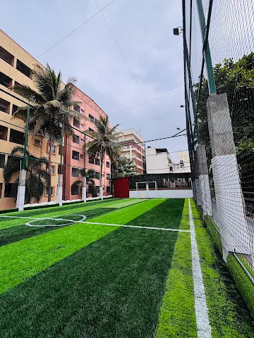 Turf photo 2