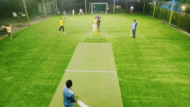 Turf main photo