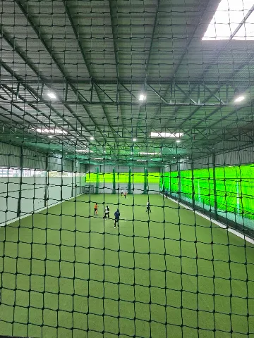 Turf photo 4