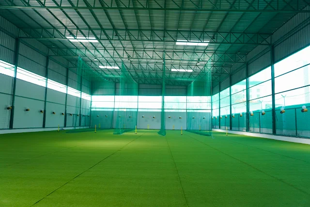 Turf photo 6
