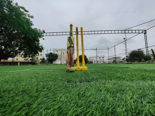 Turf photo 3