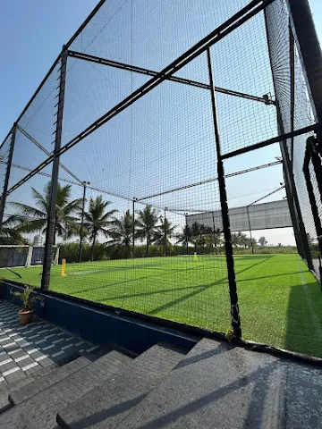 Turf photo 5