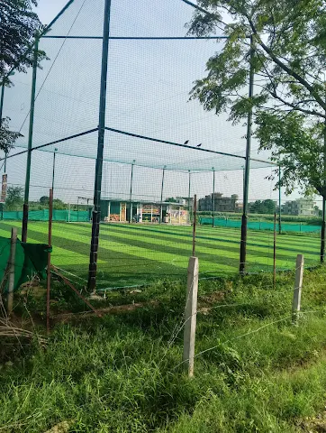 Turf photo 2