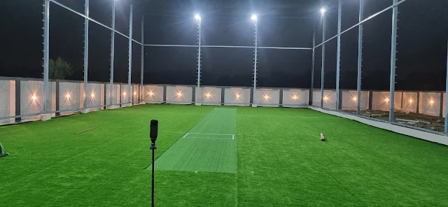 Turf photo 4