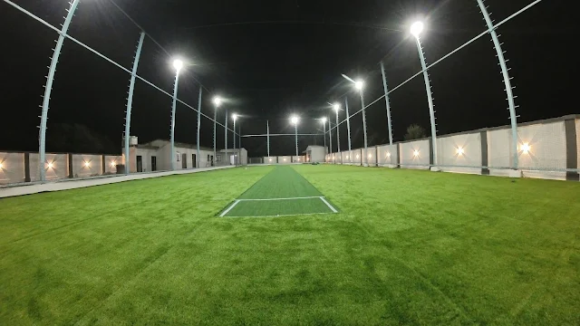 Turf photo 2