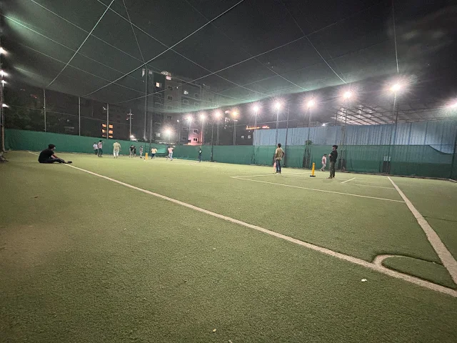 Turf photo 2