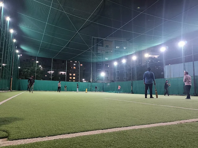 Turf photo 4